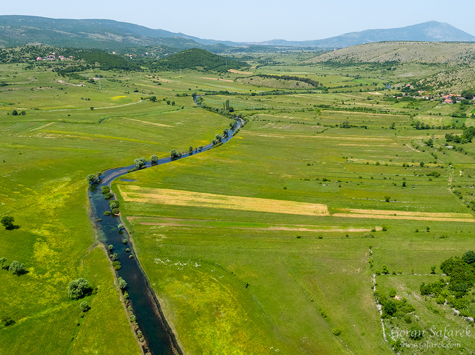 Čikola, polje