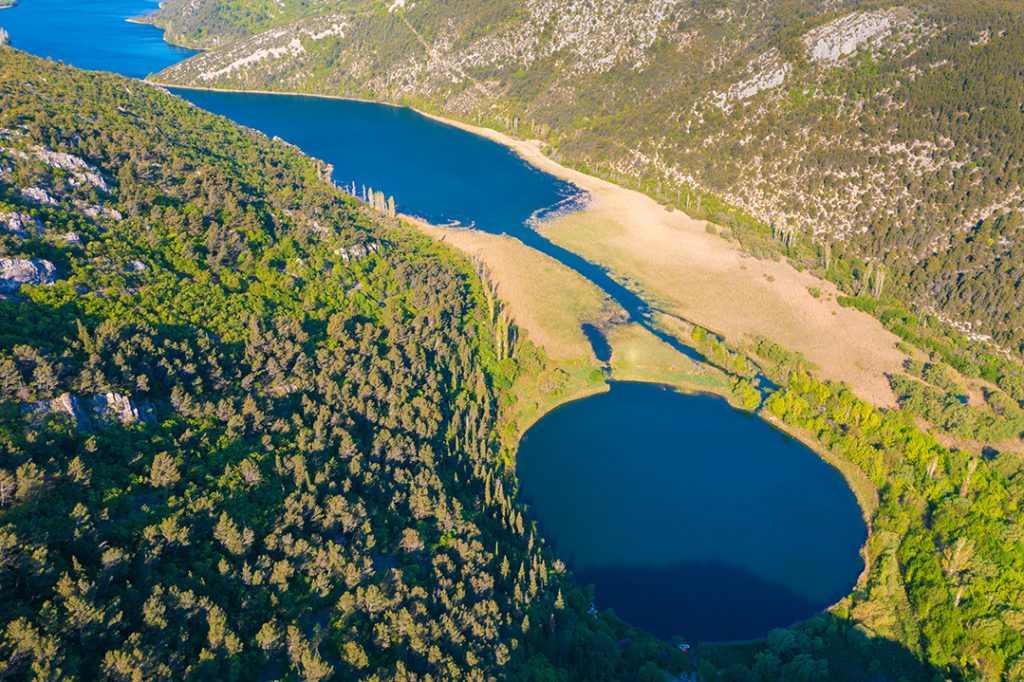 Čikola, Torak